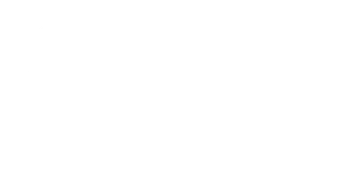 Salesforce Partner