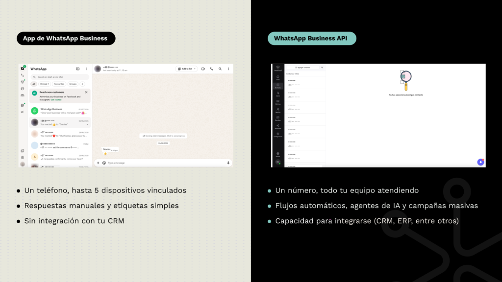 App de WhatsApp Business vs. WhatsApp Business API